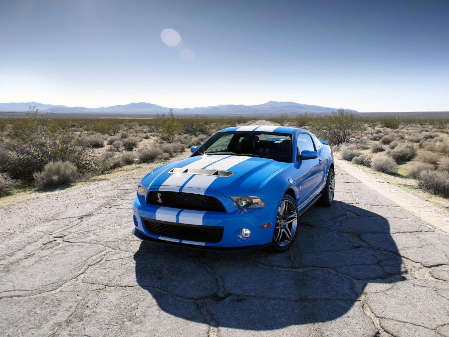  Shelby GT500 2009 года  (фото 21 из 21)